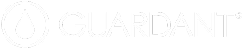 carousel-4